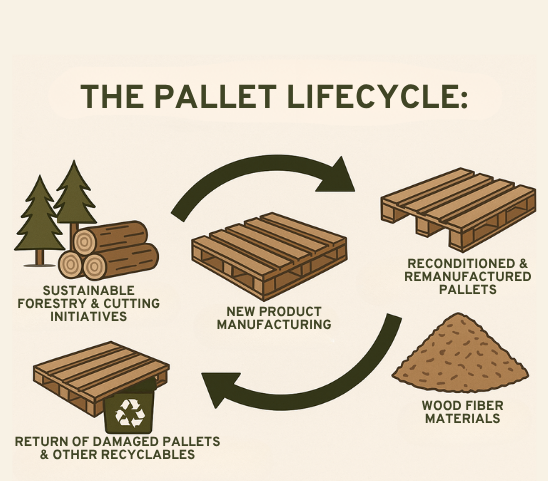 Pallet Lifecycle: Maximizing Sustainability at Every Stage ...