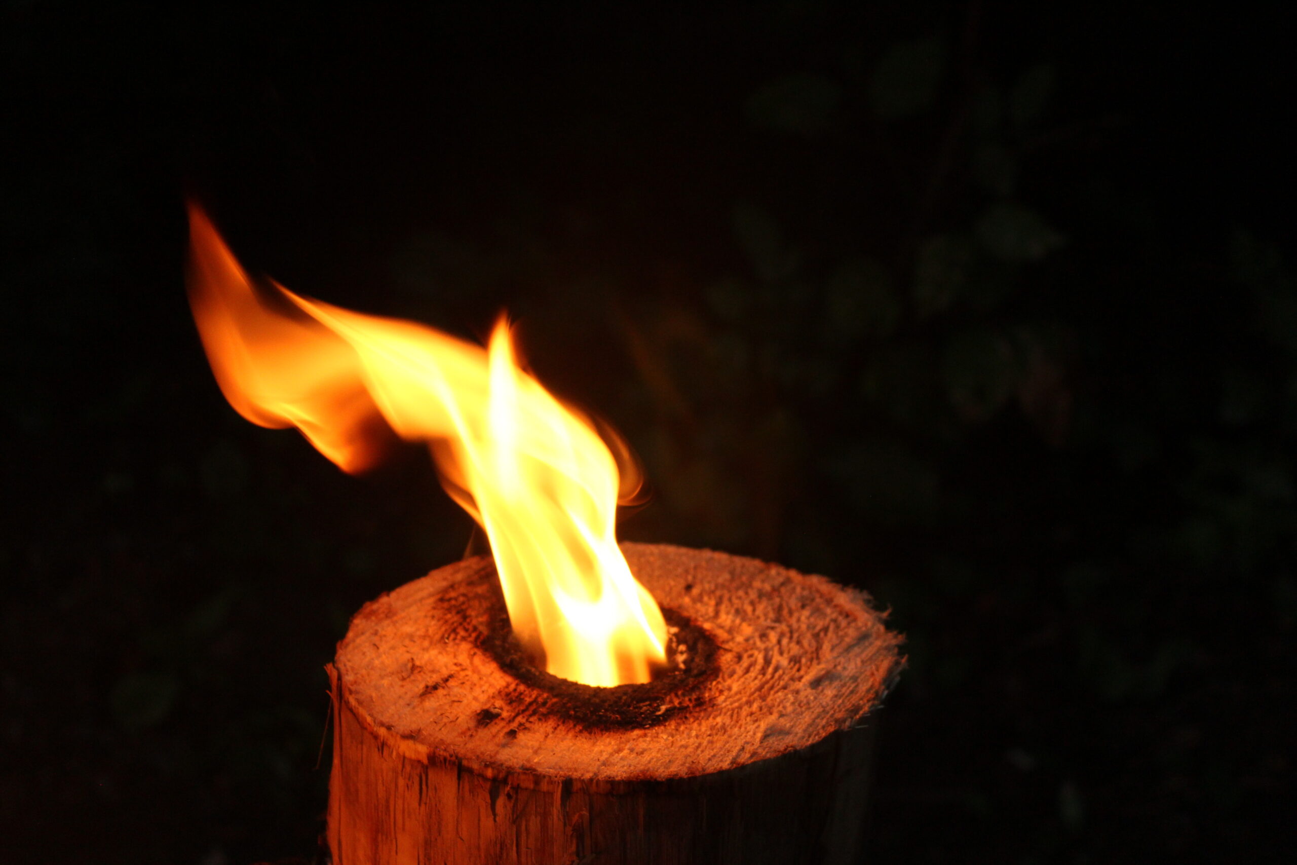 Swedish Torch Log