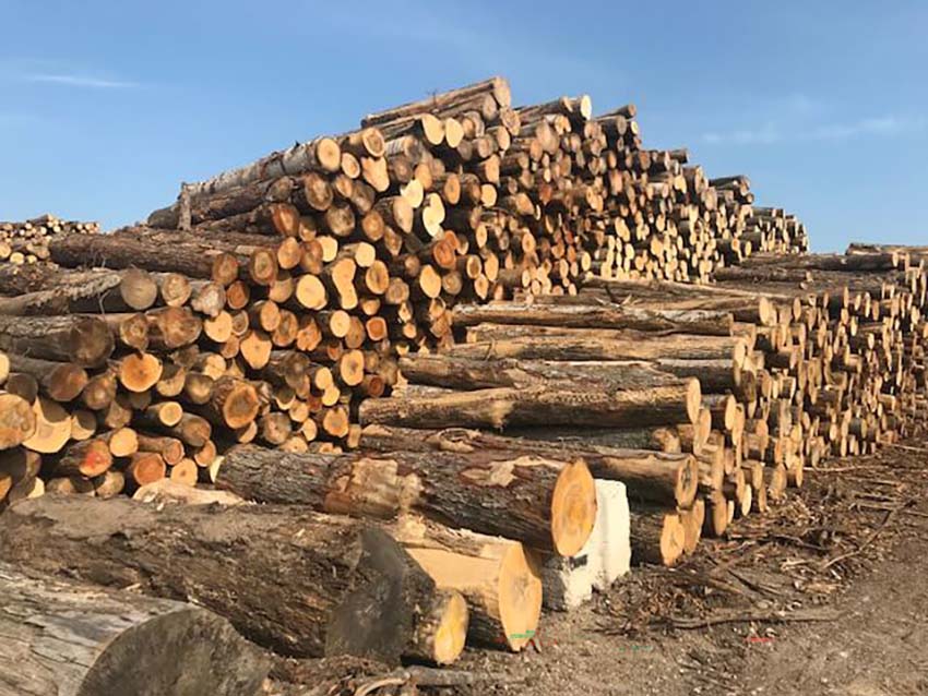 certified lumber provider for seasonal firewood supply